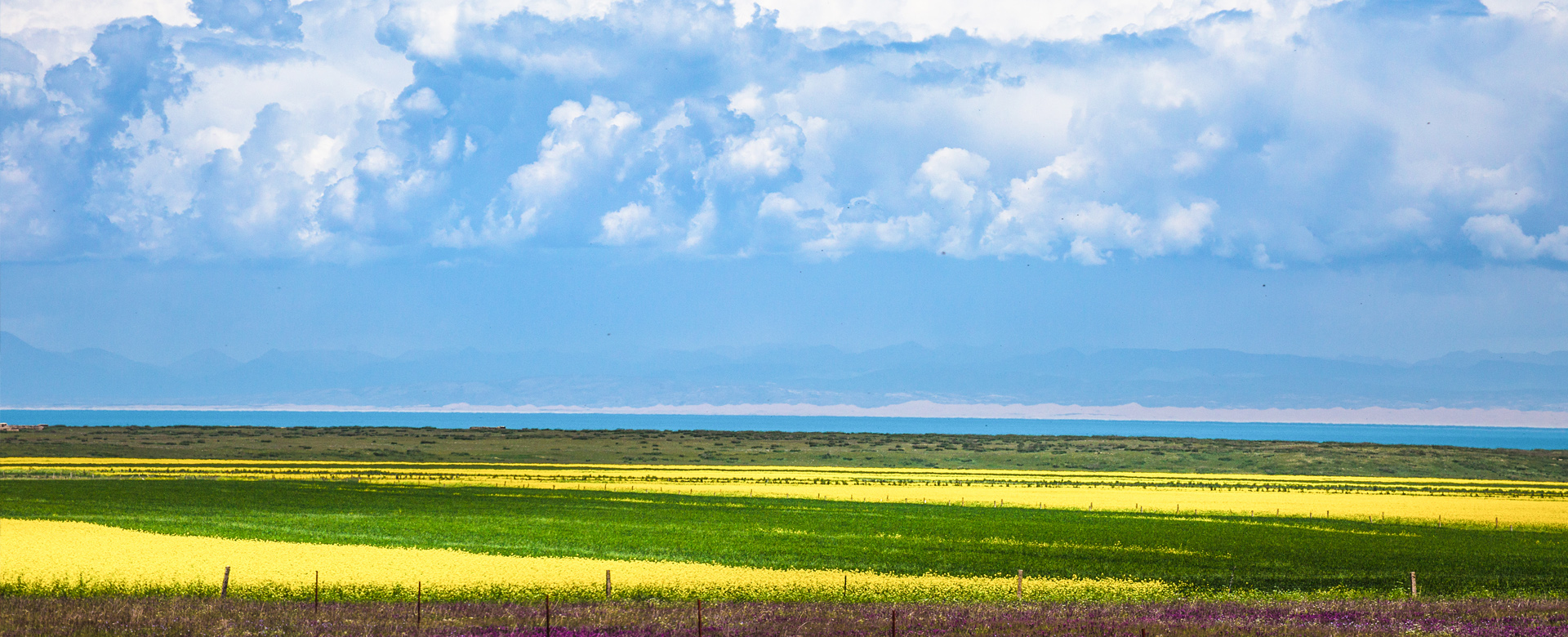 高綠平環(huán)境科技